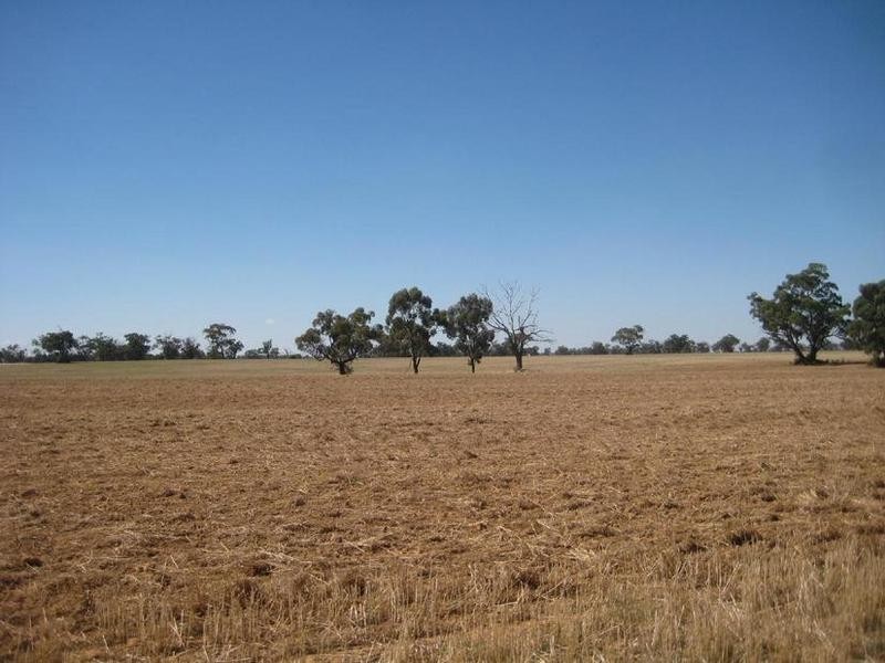 1 Cnr McKindlay Lane & Perricoota Road, Moama NSW 2731