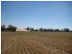 1 Cnr McKindlay Lane & Perricoota Road, Moama NSW 2731