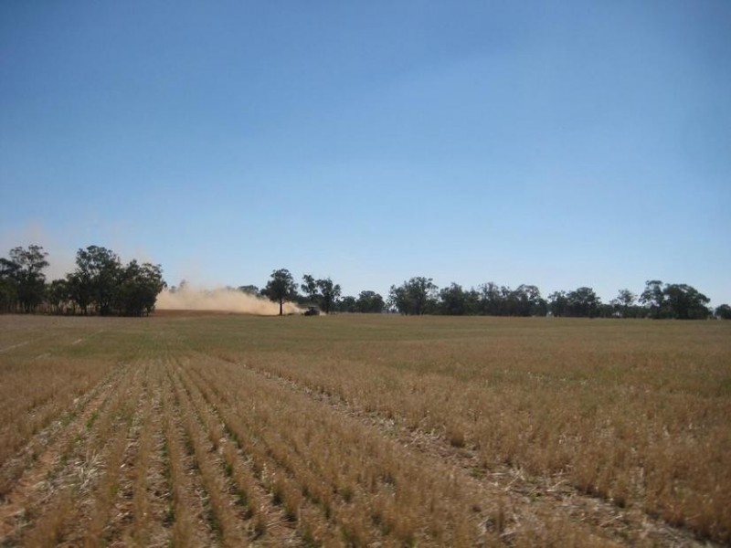 1 Cnr McKindlay Lane & Perricoota Road, Moama NSW 2731