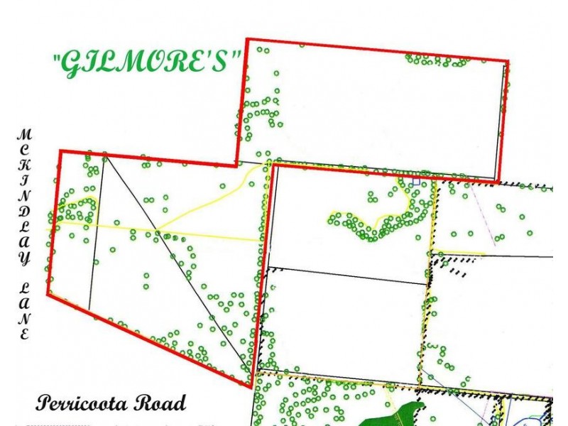 1 Cnr McKindlay Lane & Perricoota Road, Moama NSW 2731