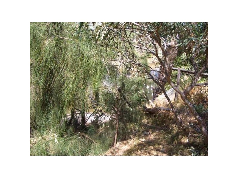 1/104 George Street, Echuca VIC 3564