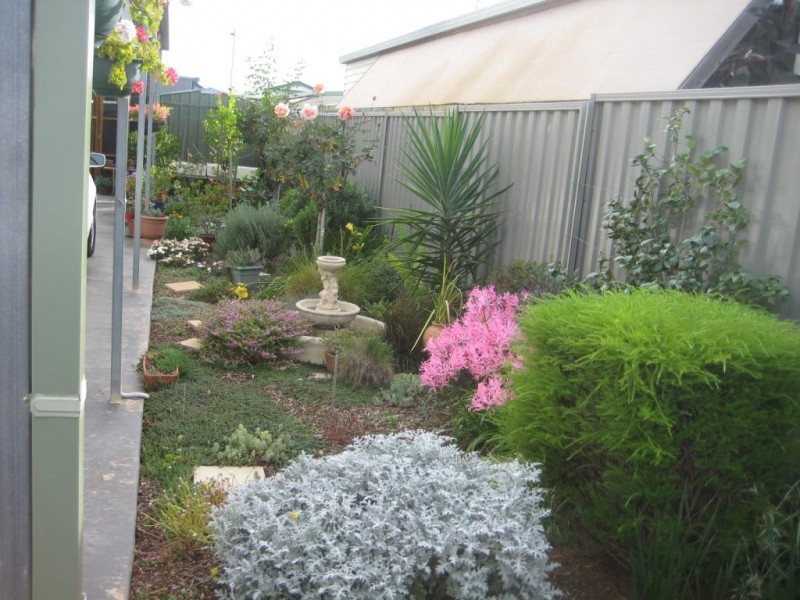 31 Swan Boulevard, Moama NSW 2731