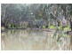 1748 Barnadown Road, Elmore VIC 3558