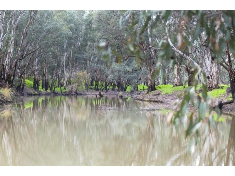 1748 Barnadown Road, Elmore VIC 3558