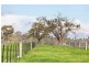 1748 Barnadown Road, Elmore VIC 3558
