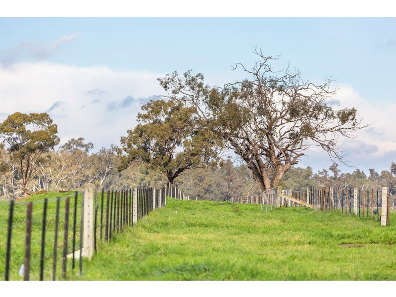 1748 Barnadown Road, Elmore VIC 3558