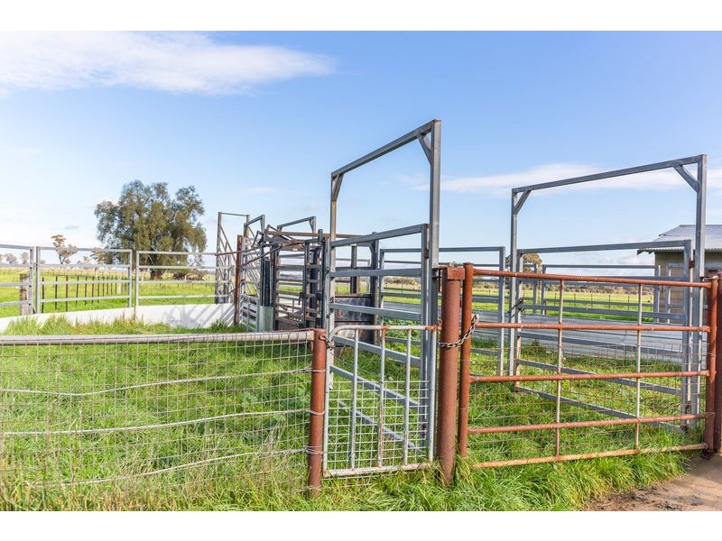 1748 Barnadown Road, Elmore VIC 3558
