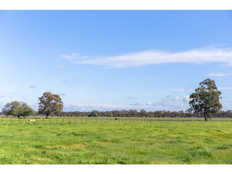 1748 Barnadown Road, Elmore VIC 3558