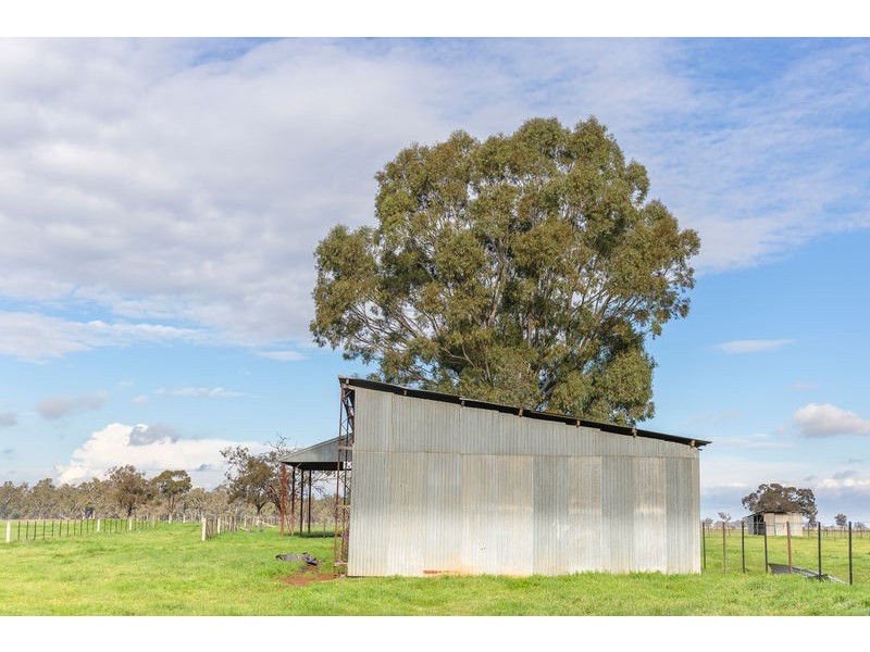1748 Barnadown Road, Elmore VIC 3558