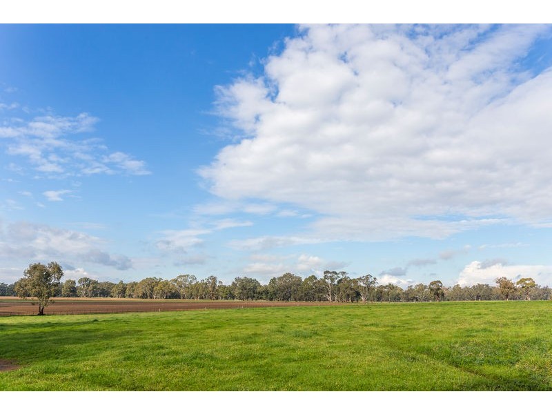1748 Barnadown Road, Elmore VIC 3558