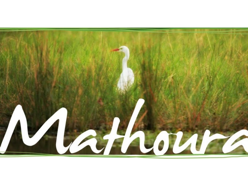 22 Livingstone Street, Mathoura NSW 2710