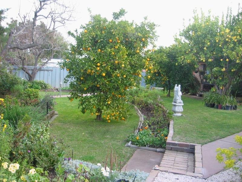 1 Winnima Avenue, Moama NSW 2731