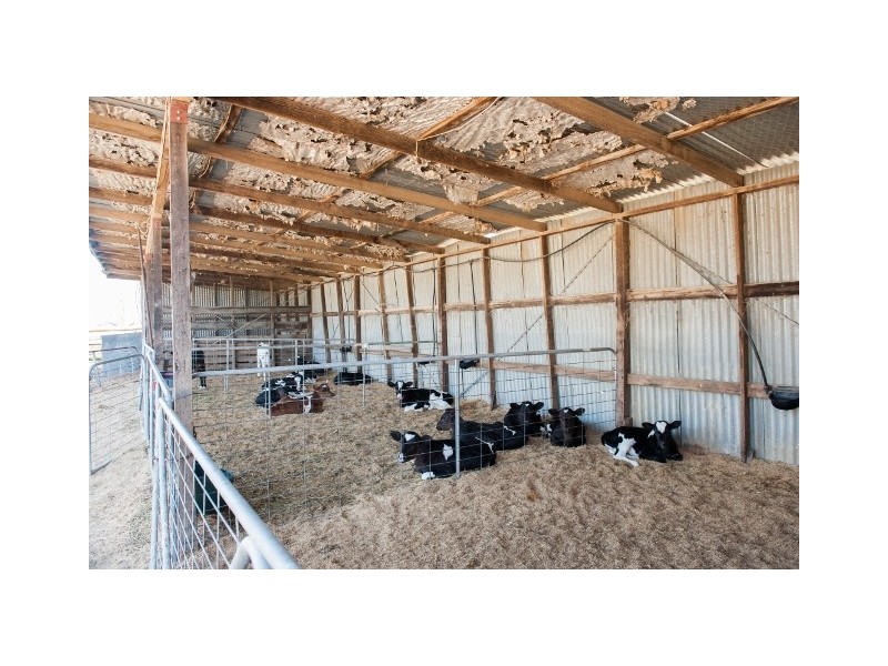1012 Henderson Road, Tongala VIC 3621