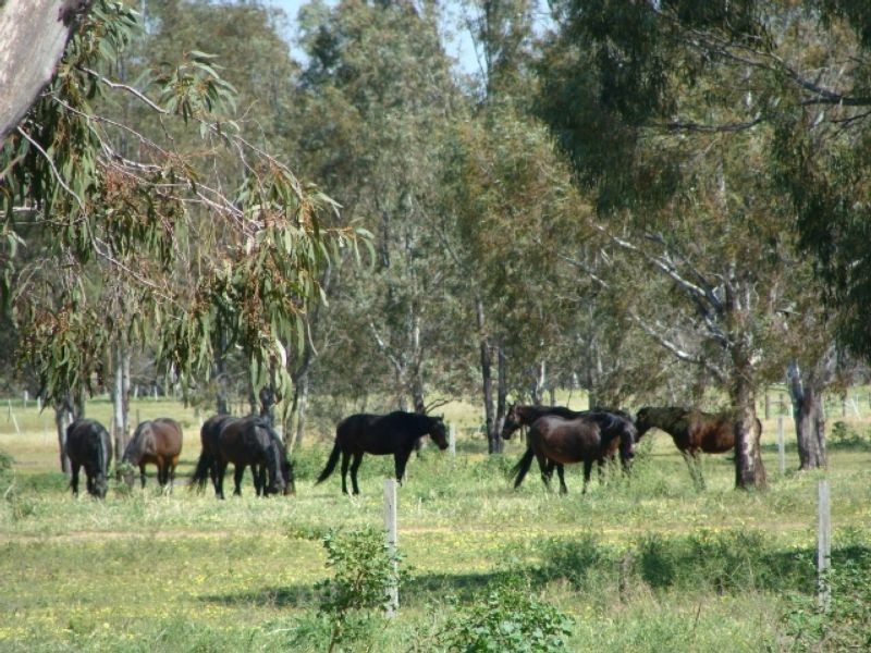 7 Kennedy Court, Echuca VIC 3564