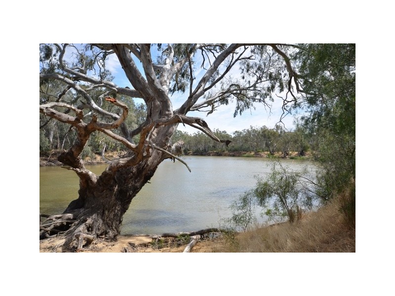 63 Riverview Court, Echuca VIC 3564