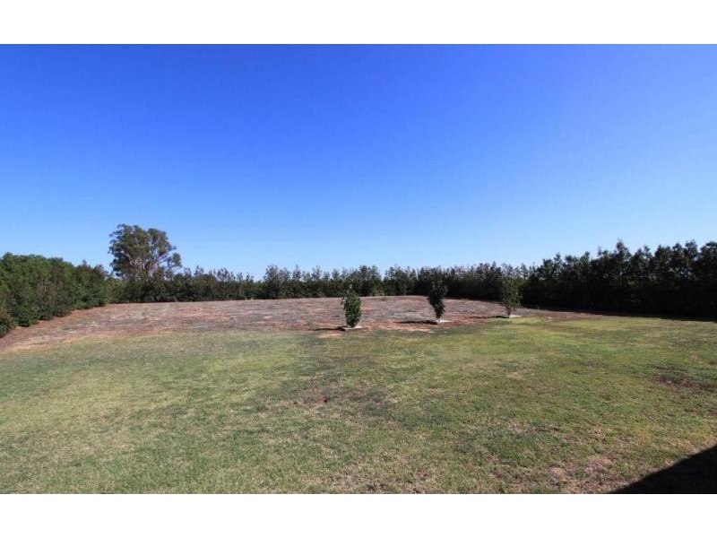 17 Shiraz Court, Moama NSW 2731