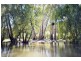 1c Picnic Point Road, Echuca VIC 3564