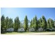1c Picnic Point Road, Echuca VIC 3564