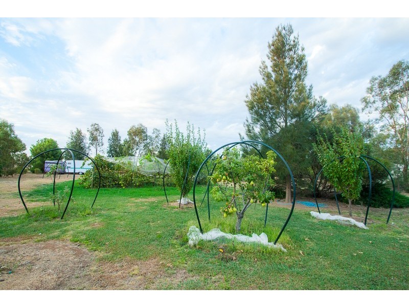 1110 Mt Terrick Road, Echuca VIC 3564