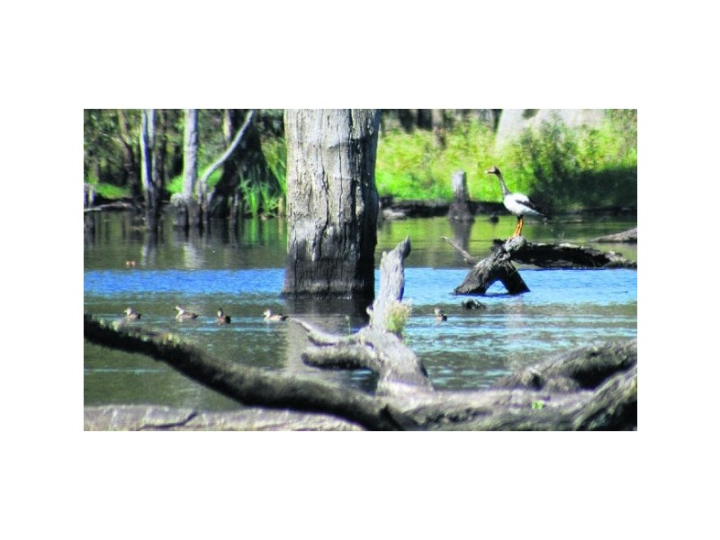 165 Young Road, Echuca VIC 3564