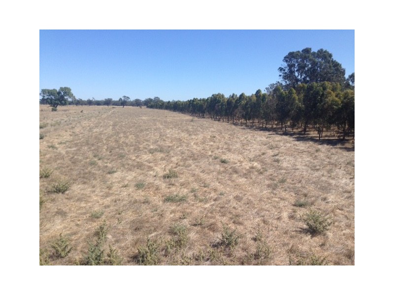 165 Young Road, Echuca VIC 3564