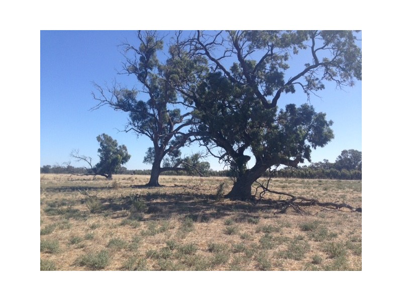 165 Young Road, Echuca VIC 3564