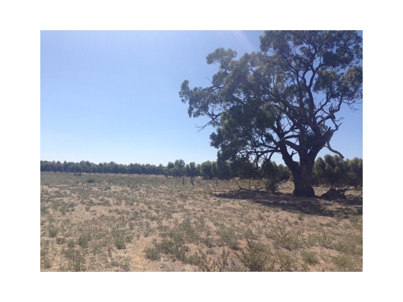 165 Young Road, Echuca VIC 3564