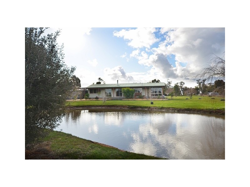 1458 Mt. Terrick Road, Echuca VIC 3564