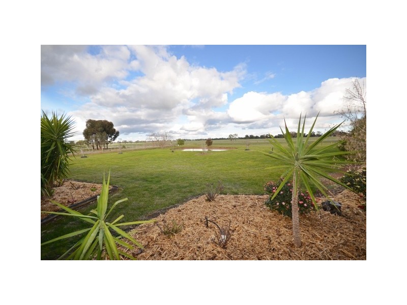 1458 Mt. Terrick Road, Echuca VIC 3564