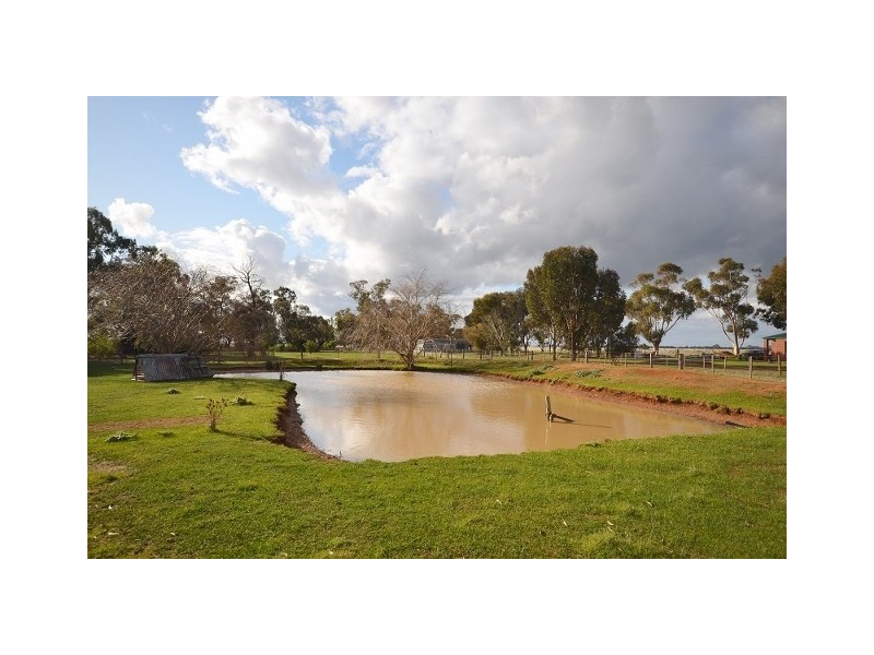 1458 Mt. Terrick Road, Echuca VIC 3564