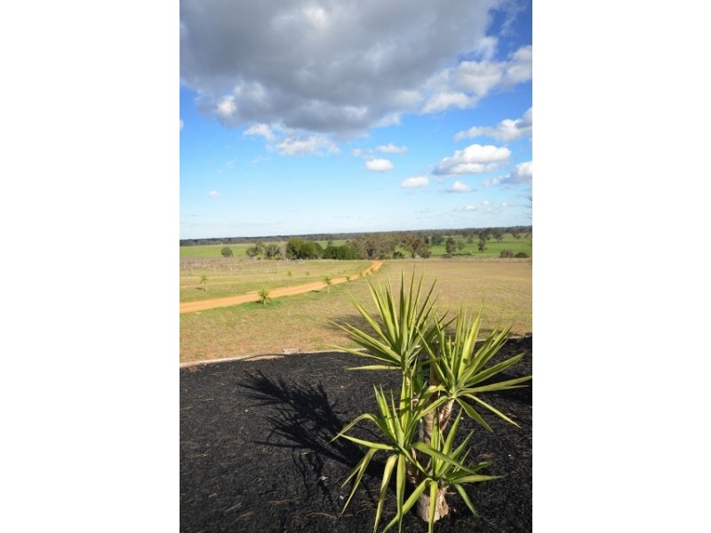 1045 Barmah Road, Moama NSW 2731