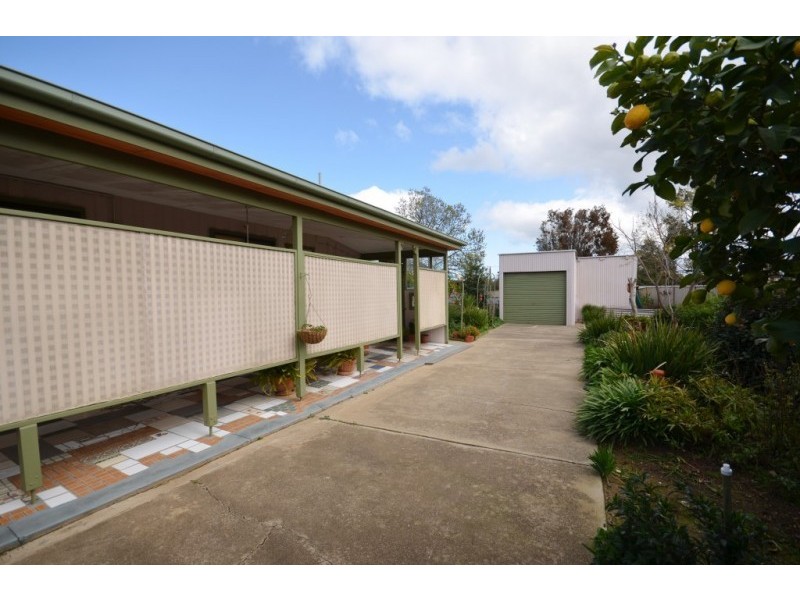 41 Crossen St, Echuca VIC 3564