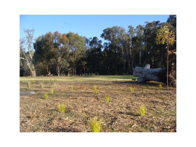 29-54 Perricoota Road, Moama NSW 2731