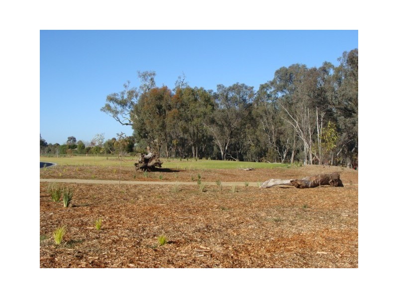 29-54 Perricoota Road, Moama NSW 2731