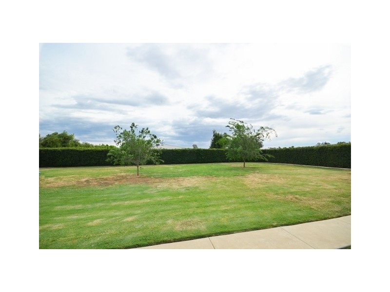 13 Cabernet Drive, Moama NSW 2731