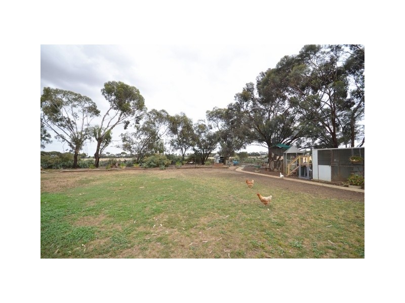 544 Mary Ann Road, Echuca VIC 3564