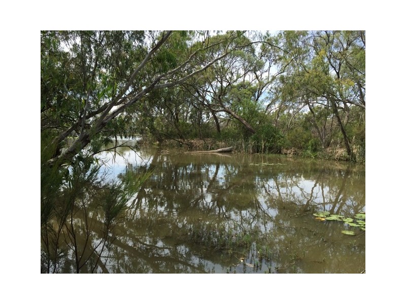 6 Catanese Road, Echuca VIC 3564