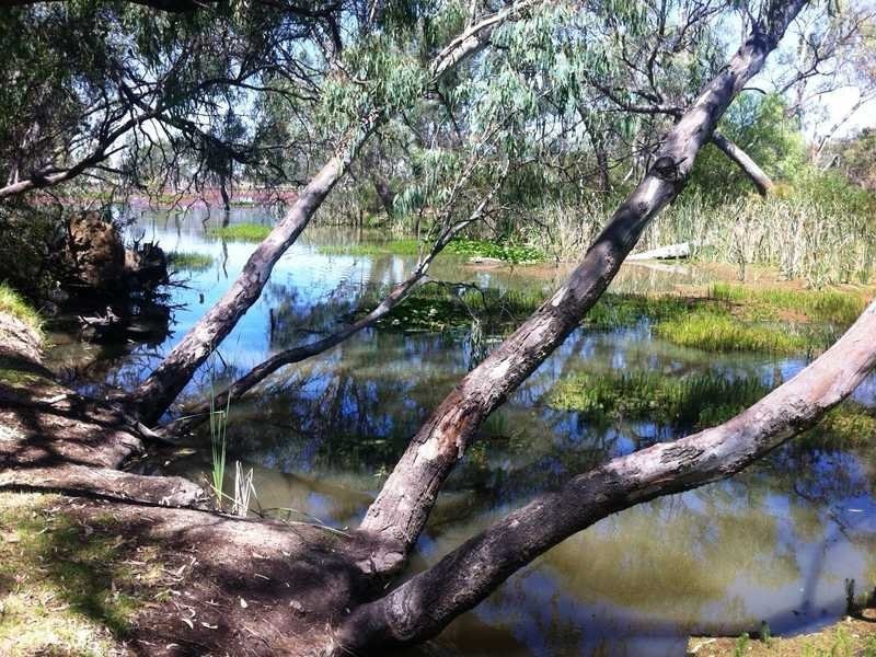 6 Catanese Road, Echuca VIC 3564