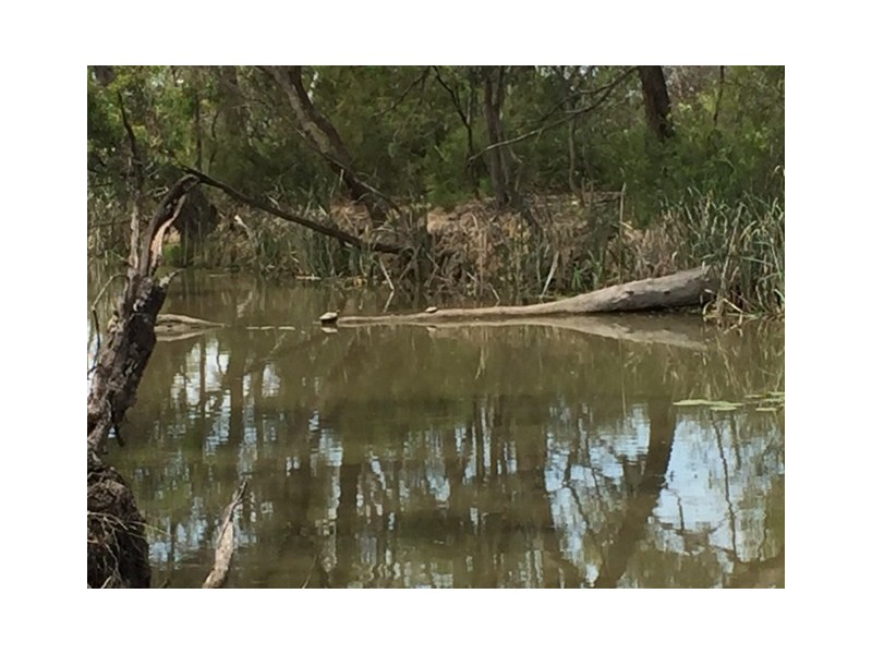 6 Catanese Road, Echuca VIC 3564