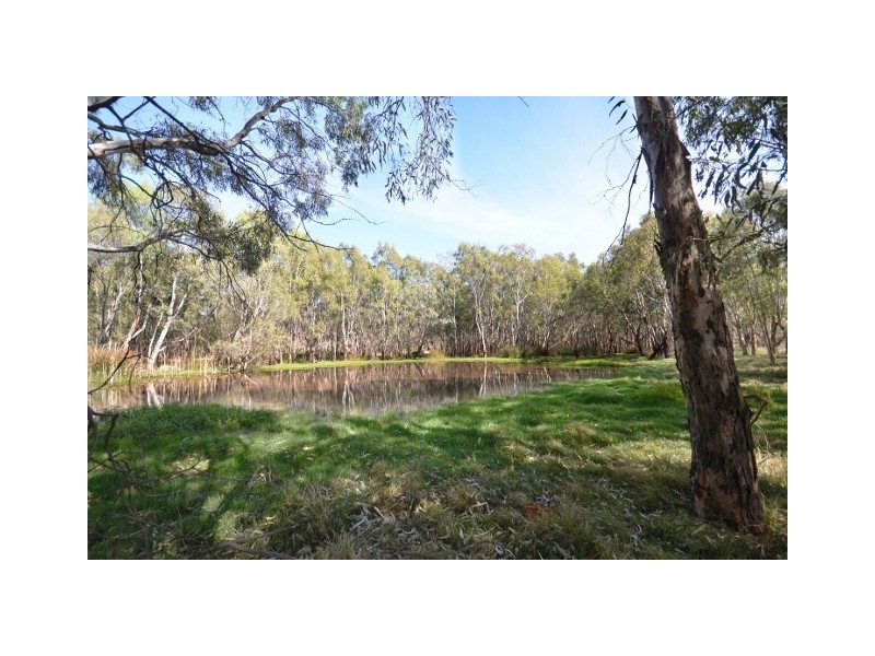 15 Riverpark Drive, Moama NSW 2731