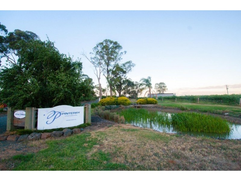 312 Perricoota Road, Moama NSW 2731