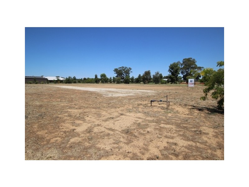 7 Manzanillo Avenue, Moama NSW 2731