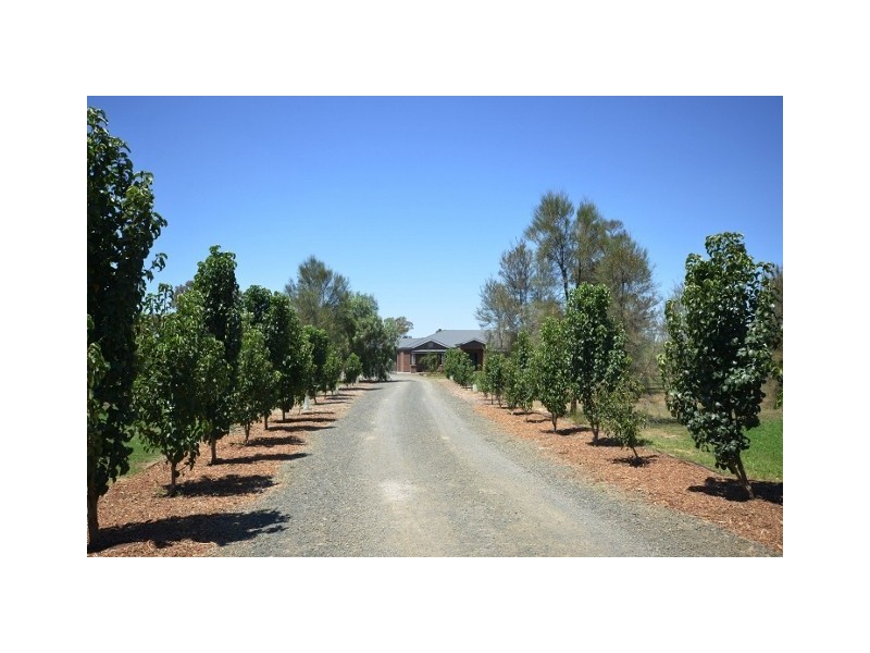 63 Wharparilla Road, Echuca VIC 3564