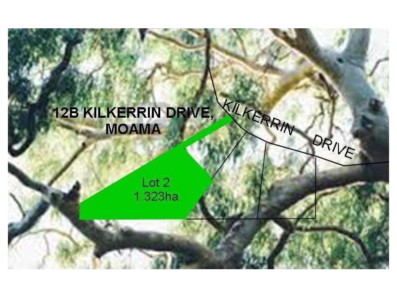 12b Kilkerrin Drive, Moama NSW 2731