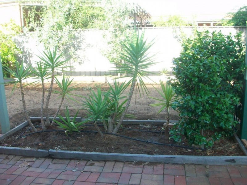 66 Lawson Drive, Moama NSW 2731