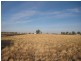 Lot 1, 3924 Cobb Highway, Mathoura NSW 2710