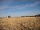 Lot 1, 3924 Cobb Highway, Mathoura NSW 2710
