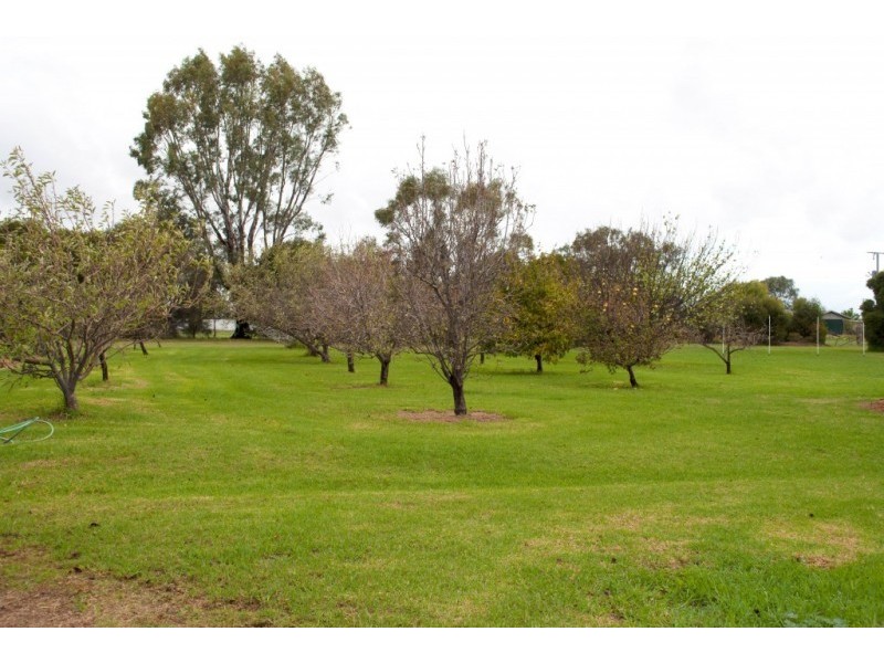 381 Wharparilla Road, Echuca VIC 3564