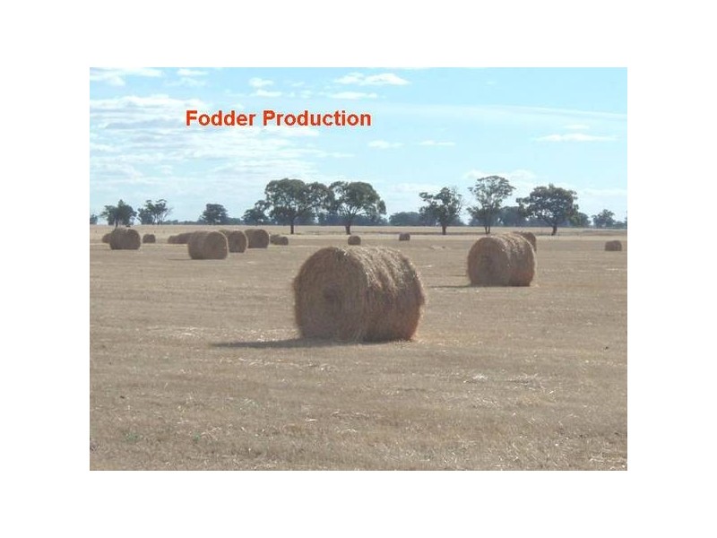 01 “Bangingdor”, Mathoura NSW 2710