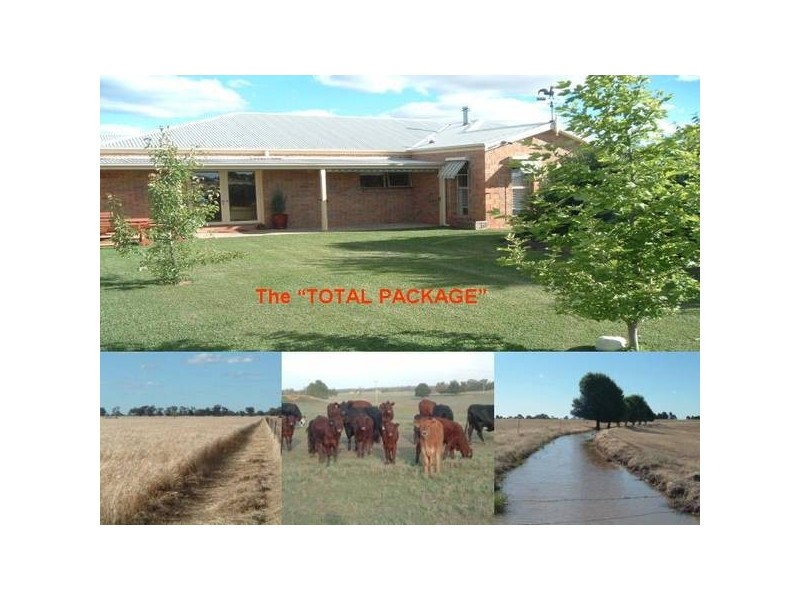 01 “Bangingdor”, Mathoura NSW 2710